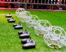 大乐透期号,专家推荐,小莫精选墨,世界杯半决赛,2026世界杯,赛程安排,参赛球队,比赛分析