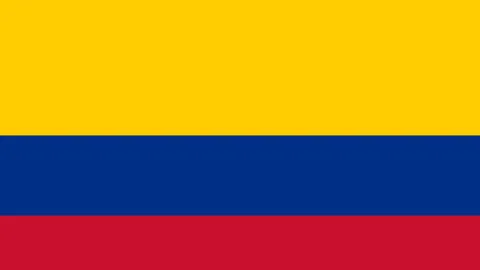 王楚海外足球之旅落幕：反思其足球生涯的启示