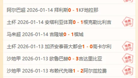 葡萄牙东方龙前球员王鹏博、达木林扎布、周文皓加盟武汉三镇队